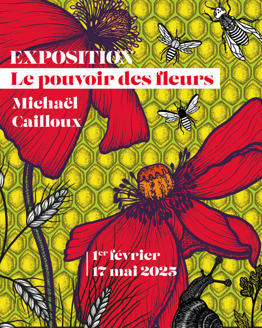 Exposition de Michaël Cailloux, Les Dominicaines